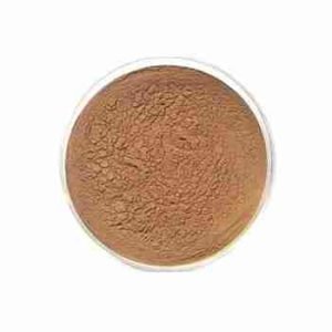 Dextranase CAS 9025-70-1